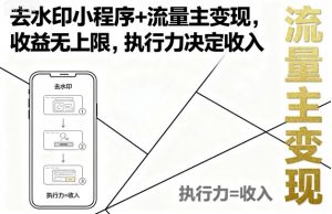 去水印小程序+流量主变现，收益无上限，执行力决定收入-优品网赚资源库