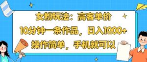 女粉玩法：高客单价，10分钟一条作品，日入1k+操作简单，手机就可以-优品网赚资源库