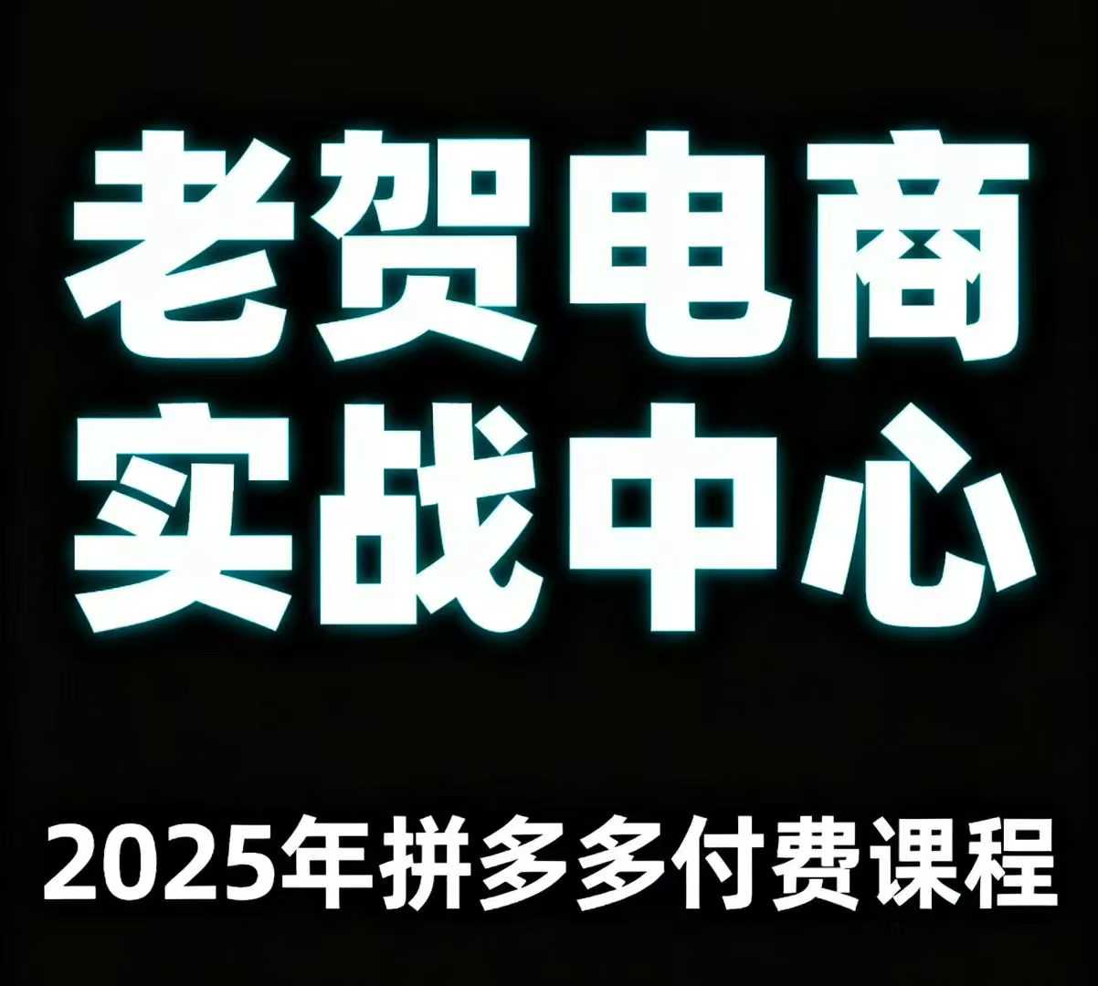 老贺电商2025年拼多多付费课程，用通俗易懂的方法告诉你多多怎么玩-优品网赚资源库