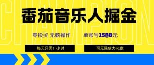 番茄音乐人掘金，单账号最高可撸1k+，可无限矩阵去做，零投入-优品网赚资源库