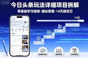 今日头条玩法详细项目拆解，零基础学习视频 通俗易懂 14天搞定它-优品网赚资源库