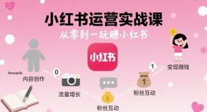 小红书运营实战课，从零到一玩賺小红书-优品网赚资源库