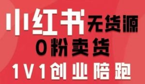 小红书无货源0粉电商课，开店准备、选品策略、笔记撰写、视频剪辑、数据分析、账号打造、资料文档-优品网赚资源库