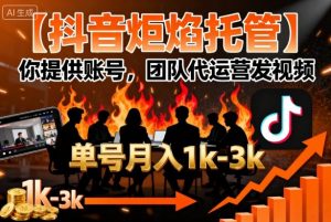 【抖音炬焰托管】你提供账号，团队代运营发视频，单号月入1k+【揭秘】-优品网赚资源库