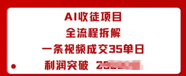 AI收徒项目全流程拆解一条视频成交35单日利润突破1k+-优品网赚资源库