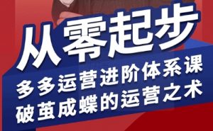 拼多多运营进阶系统课，从零起步，多多运营进阶体系课，破茧成蝶的运营之术（更新9月）-优品网赚资源库