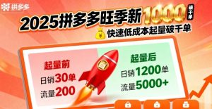 2025拼多多旺季新老店铺——快速低成本起量破千单-优品网赚资源库