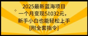 2025最新蓝海项目一个月变现1w+新手小白也能轻松上手【附全套指令】-优品网赚资源库