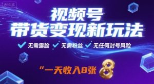 视频号带货变现新玩法，无需露脸，无需粉丝，无任何封号风险，一天收益8张【揭秘】-优品网赚资源库