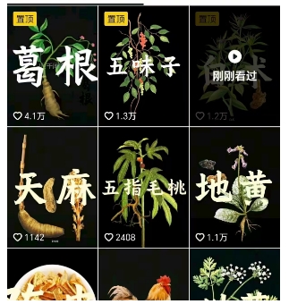 抖音中草药赛道，用AI做中草药故事视频，45条作品涨粉13W，橱窗带货猛猛出单-优品网赚资源库