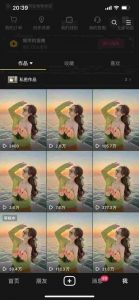 9月最新抖音卡特效搬运技术，一刀不剪，轻松过原创，苹果安卓可以-优品网赚资源库