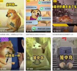 狗头幸运星UE5动画全套课程,从入门到实操全掌握-优品网赚资源库