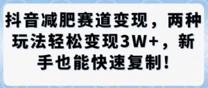 抖音减肥赛道变现，两种玩法轻松变现3W+，新手也能快速复制-优品网赚资源库