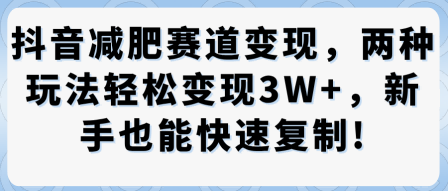 抖音减肥赛道变现,两种玩法轻松变现3W+,新手也能快速复制-优品网赚资源库