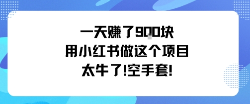 一天挣了9张用小红书做这个项目太牛了，空手套-优品网赚资源库
