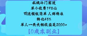 私域冷门赛道:单个收费198米引流模板简单人群精准转化45%单人一天大概收益是1k+-优品网赚资源库
