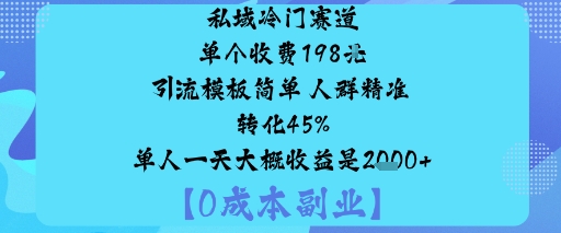 私域冷门赛道:单个收费198米引流模板简单人群精准转化45%单人一天大概收益是1k+-优品网赚资源库