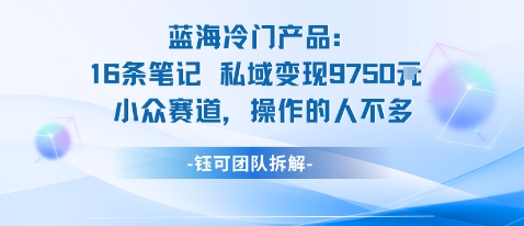 蓝海项目：16条笔记私域变现9750米小众赛道操作的人不多-优品网赚资源库