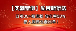 【实测案例】私域新玩法，日引30+精准粉，转化率50%，新人照做也能出单！-优品网赚资源库
