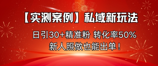 【实测案例】私域新玩法,日引30+精准粉,转化率50%,新人照做也能出单!-优品网赚资源库