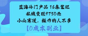 蓝海冷门产品：16条笔记私域变现9750米小众赛道，操作的人不多-优品网赚资源库