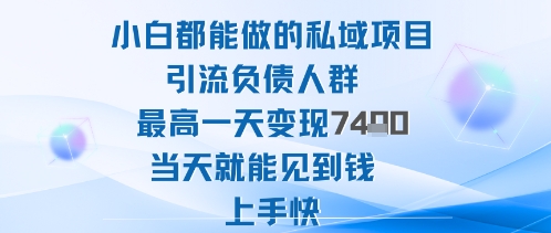 2025年小白都能做的私域项目引流负债人群最高一天变现1k+高变现难度低当天就能见到钱上手快-优品网赚资源库