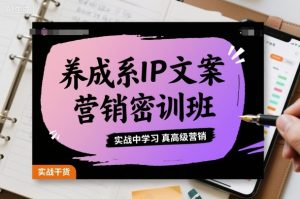 养成系IP文案营销密训班，实战中学习真高级营销-优品网赚资源库