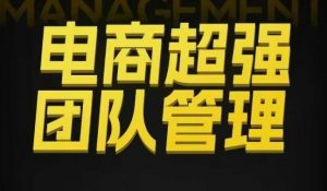 电商超强团队管理，组织绩效，到用人执行，分权合伙-优品网赚资源库