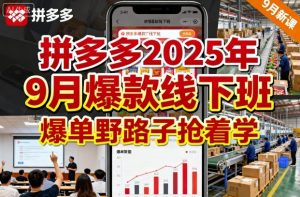 拼多多2025年9月爆款线下班，爆单野路子抢着学-优品网赚资源库