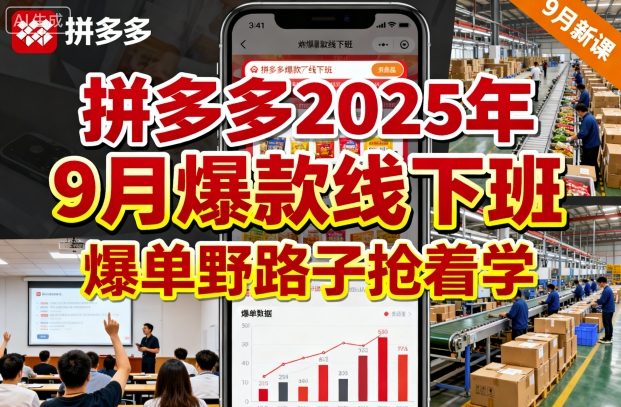拼多多2025年9月爆款线下班，爆单野路子抢着学-优品网赚资源库