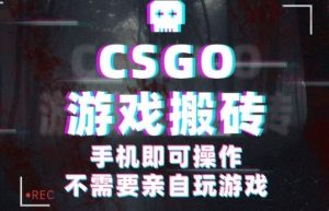 CSGO游戏挂G捡漏，单日扫货5张+，年底小高峰上车可吃肉，手机即可操作，兼职副业创业网创【揭秘】-优品网赚资源库