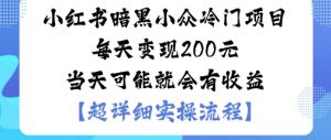 小红书暗黑小众冷门项目每天变现2张当天可能就会有收益-优品网赚资源库