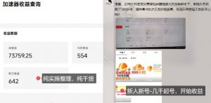 游戏加速器项目4.0_最新打法思路（爱玩游戏也能边玩边被动收益）-优品网赚资源库