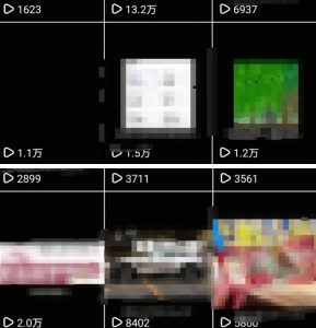 抖音引流创业粉教程,创业粉终于跑通了,私域是永远的王-优品网赚资源库