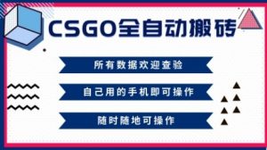 CSGO全自动搬砖，年底钱回家好项目，当天可拿到结果，新手小白轻松月入1W+【揭秘】-优品网赚资源库
