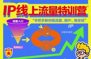 IP线上流量特训营,手把手教你搞流量、做IP、稳变现-优品网赚资源库
