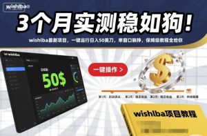 3个月实测稳如狗！wishlba最新项目，一键运行日入50美刀，单窗口躺挣，保姆级教程全给你【揭秘】-优品网赚资源库