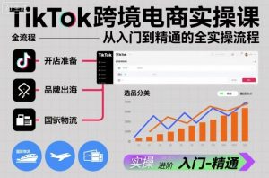 TikTok跨境电商实操课,从入门到精通的全实操流程-优品网赚资源库