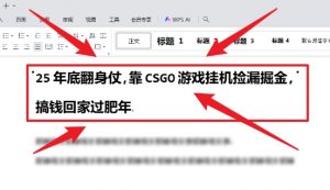 25年底翻身仗，靠CSGO游戏挂G捡漏掘金，搞钱回家过肥年【揭秘】-优品网赚资源库