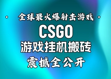 【年底大揭秘】基于全球最火爆的射击CSGO游戏挂G搬砖，日入5张+，震撼公开-优品网赚资源库