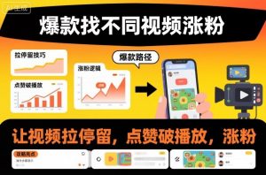 爆款找不同视频涨粉，让视频拉停留，实现点赞，破播放，涨粉-优品网赚资源库