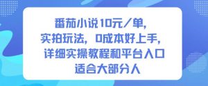 番茄小说10米每单，实拍玩法，0成本好上手，详细实操教程和平台入口适合大部分人-优品网赚资源库