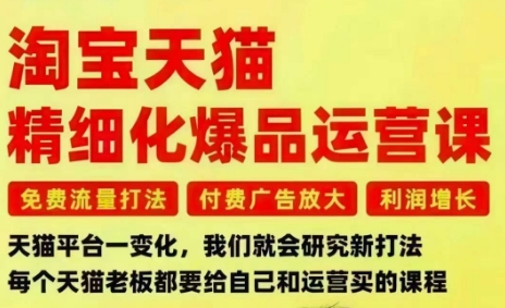 淘宝天猫精细化爆品运营课，免费流量打法-付费广告放大-利润增长-三大核心痛点，一次全部解决-优品网赚资源库