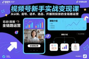 视频号新手实战变现课,从认知、起号、话术、选品、开播到投放的全链路运营-优品网赚资源库