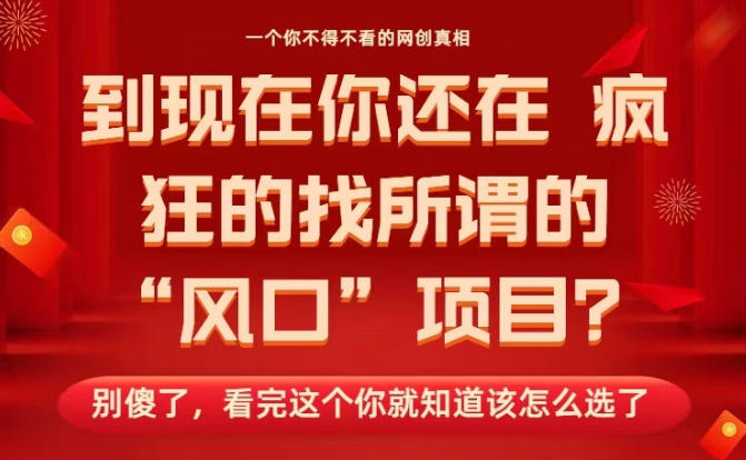 马上26年了，你还在找所谓的风口项目？别傻了，看完这个你全都懂了！【揭秘】-优品网赚资源库