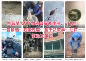 抖音某大V万物科普解说课程，可进抖音精选，独家内容，超干货教学，助你涨粉又賺钱-优品网赚资源库