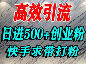 怎么打创业粉?快手求带视角精准引流创业粉,宝妈、学生群体日进500+精准流量-优品网赚资源库