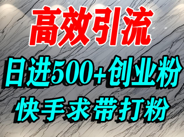 怎么打创业粉?快手求带视角精准引流创业粉,宝妈、学生群体日进500+精准流量-优品网赚资源库