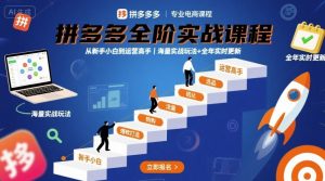 拼多多全阶实战课程,从新手小白到运营高手,海量实战玩法+全年实时更新【2025年10月更新】-优品网赚资源库