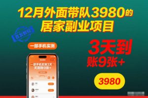 12月外面带队3980的居家副业项目，一部手机实测3天到账9张+，首发教程【揭秘】-优品网赚资源库